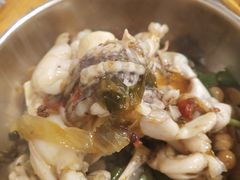-鸿顺老铁锅美蛙鱼府(解放碑店)