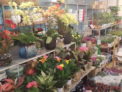 -双季花艺园艺市场(浦东店)