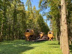 -黄海国家森林公园