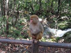 -宝天曼峡谷漂流