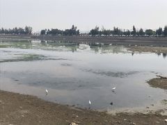 -龙舟池