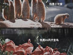 -广州长隆野生动物世界