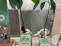 -果呀呀(国金街店)