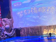 -华夏文旅海洋公园