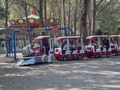 -长白岛森林公园