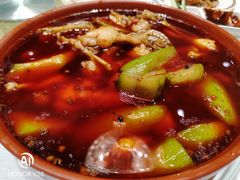 麻辣馋嘴蛙-渝信川菜(华盛店)