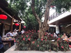 -猪肉婆私房菜(容桂总店)