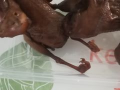 -陶阿姨熏牛蛙(九亭店)