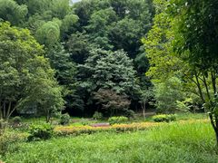 -上海佘山国家森林公园天马山园