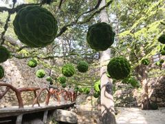 -云丘山景区