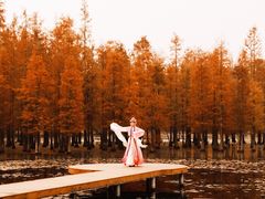 -白鹭湾湿地公园