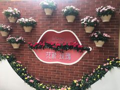 -深圳仙湖植物园