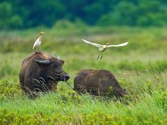 -小六农家乐(崇明西沙湿地店)