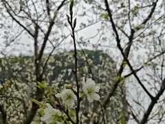 -南溪山景区