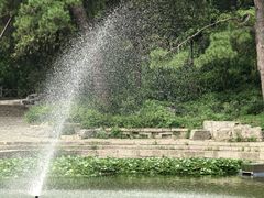 -香山公园
