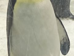 -大连圣亚海洋世界