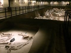 -洛阳周王城天子驾六博物馆