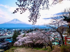 -富士山吉田線五合目