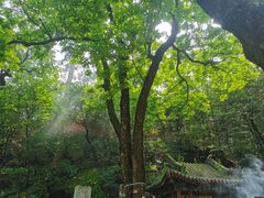 -潭柘寺景区