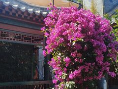 -火火咖啡&茶空间