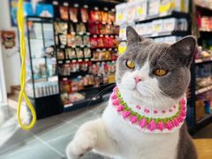 -萌兽医馆·眼科·异宠专科(三里屯店)