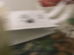 -喜茶(广州番禺奥园广场店)