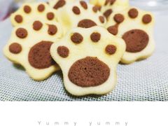 -喵屿·大理花园猫咖