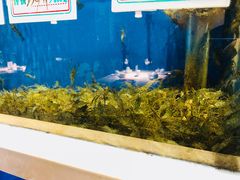 -姜君·千岛湖鱼头馆(浦东大道店)