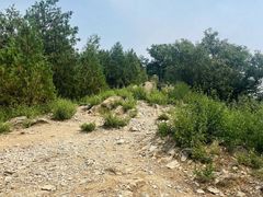 -北京鹫峰国家森林公园