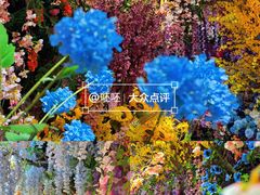 -正佳雨林生态植物园