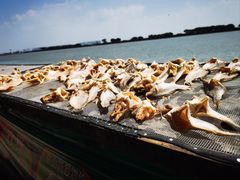 -南沙十九涌渔人码头-南门