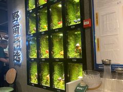 -野·大山里野生菌石锅土鸡(益田假日店)
