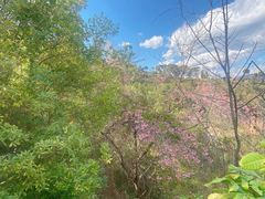 -墨江北回归线标志园