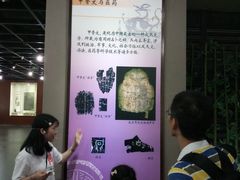 -广东中医药博物馆