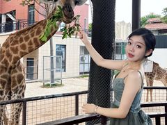 -灵玲国际马戏城
