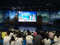 -华夏文旅海洋公园