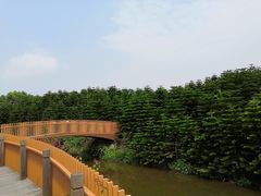 -迪茵湖田家舍生态农场