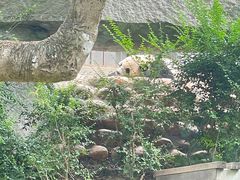 -石排湾郊野公园