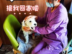 -北京派仕佳德动物医院·超导核磁·CT·神经科·骨科·内外科·急重症管理中心