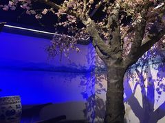 -绿茶餐厅(朝阳大悦城店)