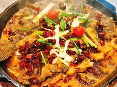 -老板恋上鱼(恒隆广场店)