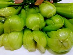 -石家饭店中市店