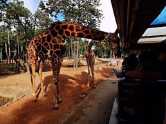 -清迈夜间动物园