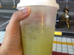山泉油柑（绿屁屁）-茶力的小怪兽(梅林卓悦汇店)