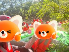 -雅鲁激流探险漂流