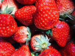 上海奶油草莓-盒马鲜生(悠方店)