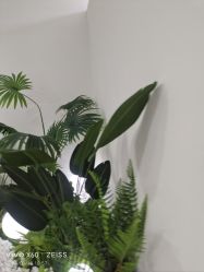 -HEYAN荷妍专业脱毛连锁机构