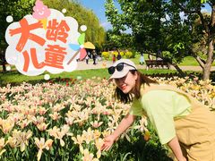 -长春公园(普阳街道)