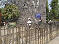 -秀丽东方