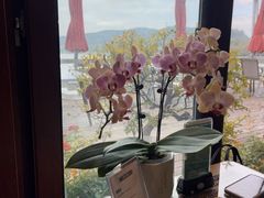 -湖畔居茶楼(湖滨店)